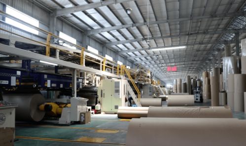 紙板 投資1.2億的包裝項目加快建設,項目一期已先行投產